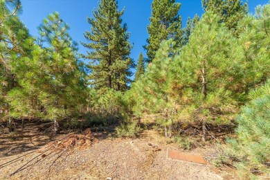 11300 Wolverine Cir, Truckee, CA 96161 - photo 3