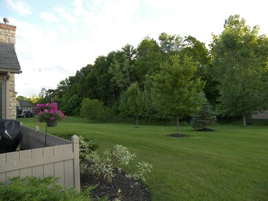 View from Patio