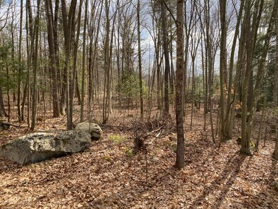 403 & 404 Spring Brook Rd, East Stroudsburg, PA 18302 - photo 2