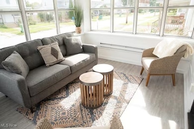 24 Swan St, Geneva, OH 44041 - photo 5