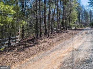 0 Bartox Dr unit 10474667, Ellijay, GA 30540 - photo 5