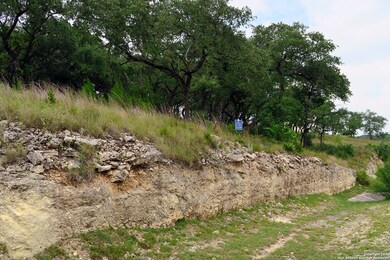 20322 Bobwhite Run, San Antonio, TX 78256 - photo 7