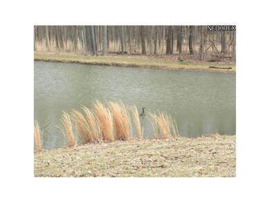Feed the Geese, or pull up a chair and just enjoy the views.