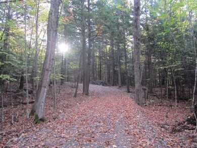 Heading in to the property after...