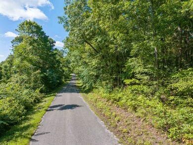 0 Parrish Rd, Linden, TN 37096 - photo 3