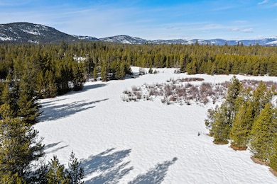 855 Badger Hollow Trail, Marion, MT 59925 - photo 6