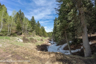 6600Paintbrush_JGPhoto-4