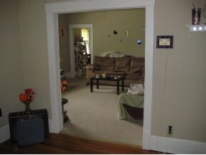 316 W Locust St, Johnson City, TN 37604 - photo 5