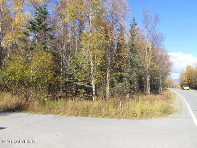Corner Lot