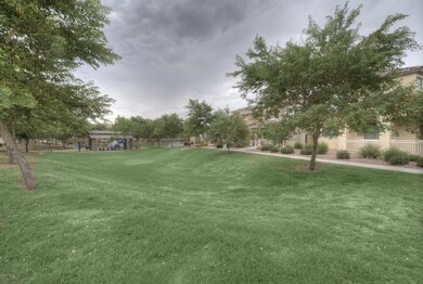 Community Park2