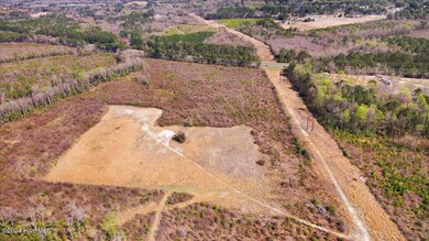 0 Durham Lake Rd, Dudley, NC 28333 - photo 7