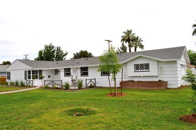 Open yard space.