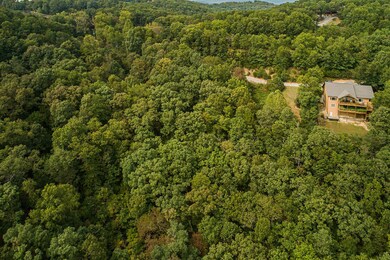 9 Fox Fire Knoll Dr, Kimberling City, MO 65686 - photo 2