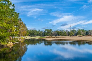 _DSC1917