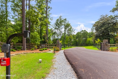 Springwood-July2025-5