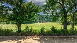 XXX S 590 Rd, Jay, OK 74346 - photo 5