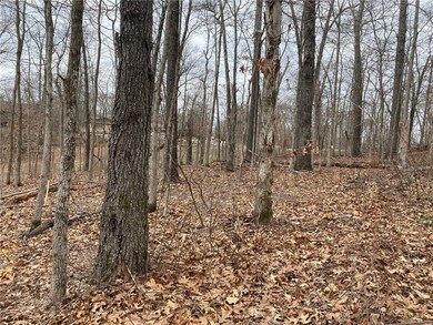 8 Clovelly Ln, Bella Vista, AR 72715 - photo 4