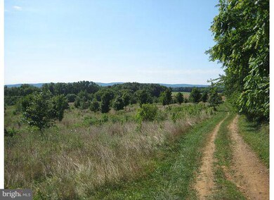 0 Not On File unit 1003856244, Berryville, VA 22611 - photo 3