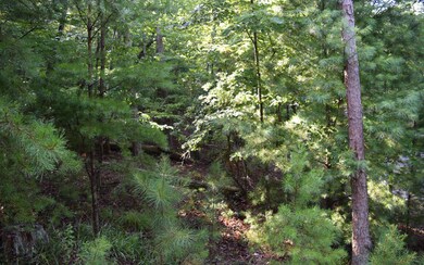 Lt907 Matrix Ln, Ellijay, GA 30540 - photo 3