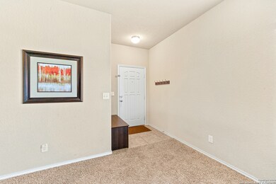 11238 Schinz Field, Helotes, TX 78023 - photo 5