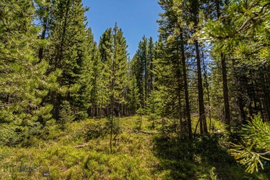 TBD Elk Meadow Trail, Big Sky, MT 59716 - photo 4