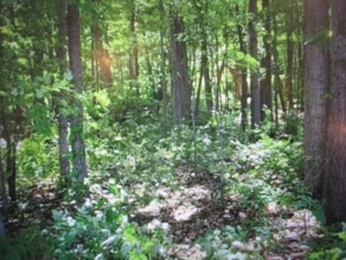 13478 NE Windy Craig Dr, Gowen, MI 49326 - photo 5