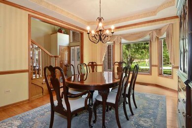 715 Canopy Dr, Naperville, IL 60540 - photo 4