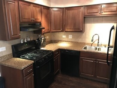 955 N Brainard St unit 57, Naperville, IL 60563 - photo 3