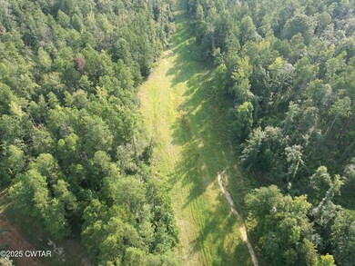 214 Arthur Byrd Rd, Pocahontas, TN 38061 - photo 5