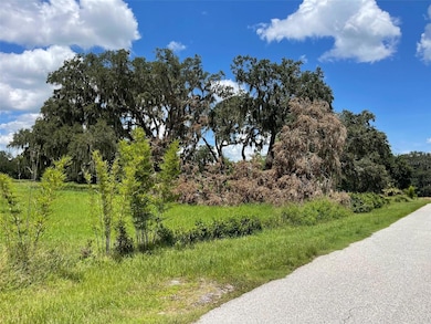 26831 Bloomfield Ave, Yalaha, FL 34797 - photo 2