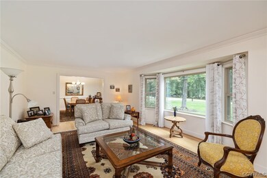 Living room with ornamental molding and wood-type