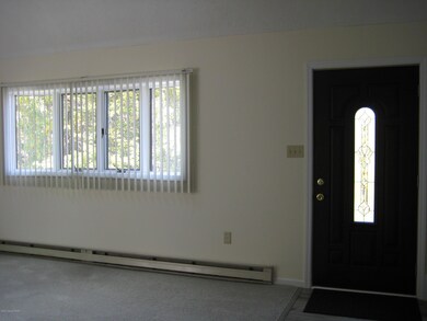 241 Lookout Dr, Albrightsville, PA 18210 - photo 5