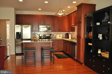 22587 Welborne Manor Square, Ashburn, VA 20148 - photo 6