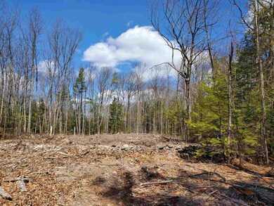 837 Old County Rd N, Deering, NH 03244 - photo 6