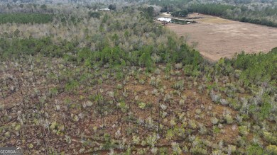 0 Off Doc McTier Rd unit 10656659, Baxley, GA 31513 - photo 5