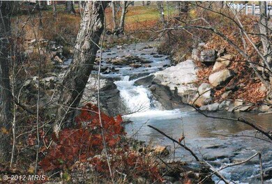 0 Snowy Mountain Rd unit 1003901950, Circleville, WV 26804 - photo 3