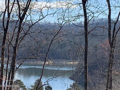 0 Mountain Shores Rd, New Tazewell, TN 37825 - photo 5