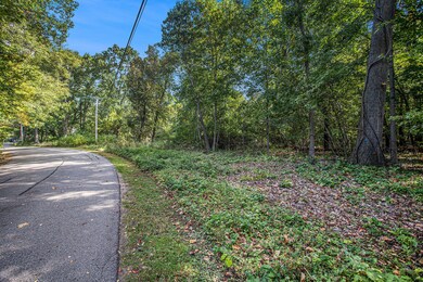 0 S Gull Lake Dr, South Gull Lake, MI 49083 - photo 6