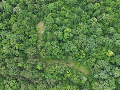 214 Gessler Rd, Benton, MS 39039 - photo 5