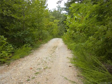 3 Dobsons Knob Loop Rd unit 3-12, and 53-57, North Cove, NC 28752 - photo 7