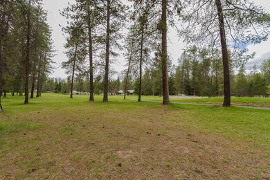 202 Eagle Dr, Chewelah, WA 99109 - photo 6