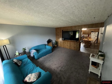 922 10th Ave N, Saint James, MN 56081 - photo 5