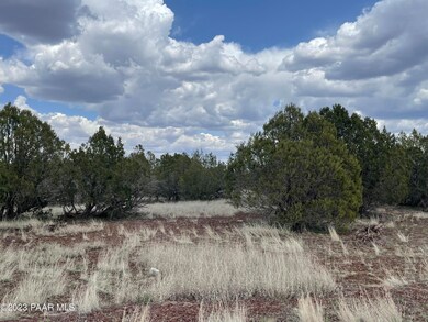 2460 Denny Dr, Ash Fork, AZ 86320 - photo 3