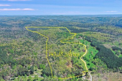 602 Gibson Rd, Clarkesville, GA 30523 - photo 4