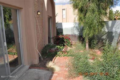 Backyard1