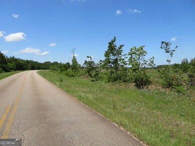 0 Goolsby Rd, Ellaville, GA 31806 - photo 5