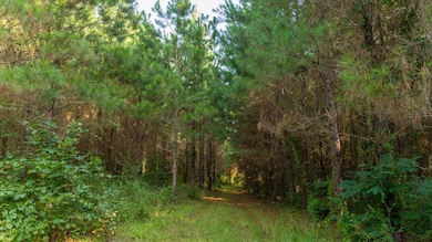 0 Sam Sells Rd, Moultrie, GA 31768 - photo 2