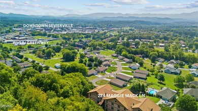 224 Maggie MacK Ln unit 201, Sevierville, TN 37862 - photo 3
