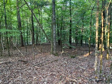 TBD County Road 415, Oxford, MS 38655 - photo 3