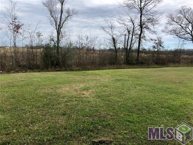 1501 Pecan Crossing Ave, Zachary, LA 70791 - photo 3